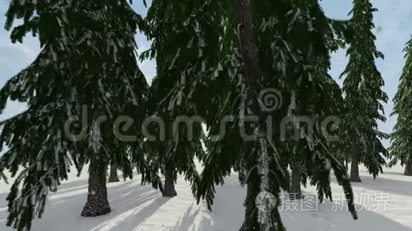 冬天森林里白雪皑皑的南瓜视频