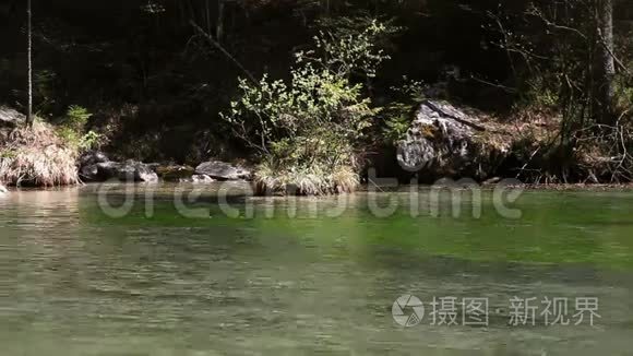 仍然有一条河和它周围的环境视频