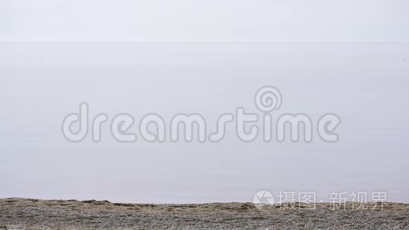 暴风雨中海鸥飞过海面视频