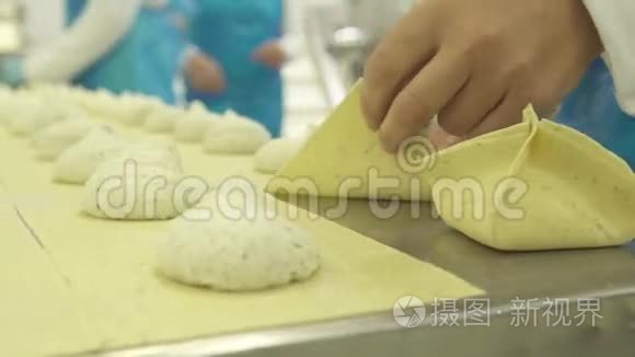 在工厂生产手工馄饨视频