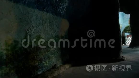 公园人造洞穴走廊墙图片视频