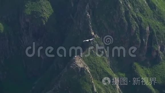 靠近阿雷基帕的科卡峡谷秘鲁视频