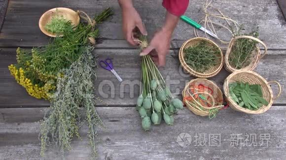 园艺师准备干燥各种草药和香料视频