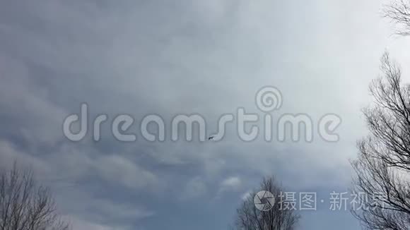 鹤鸟鹭在天空飞翔大自然的春天视频
