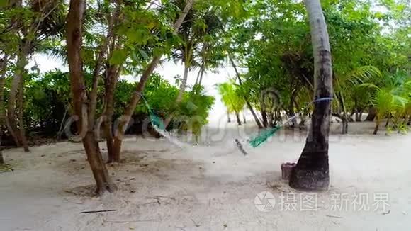 热带海滩棕榈树之间空吊床视频