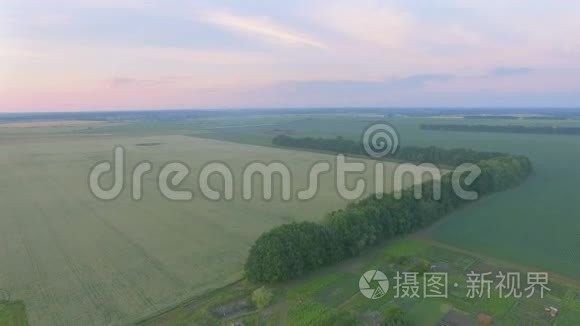 村庄附近的豆田上空的鸟瞰图视频