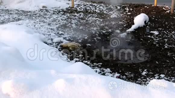 蒸汽是从卫生下水道覆盖在雪，事故。 融化的雪。