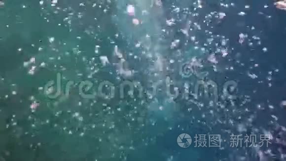 水中的空气气泡视频