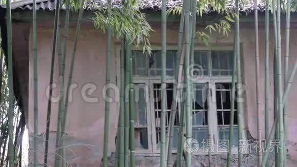竹子中的废弃建筑视频