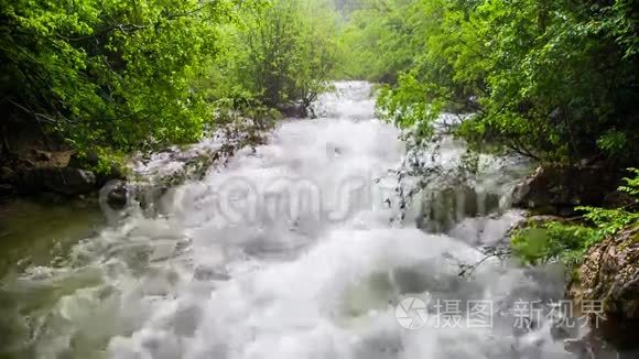 快速的山河在清新的绿色中流淌视频