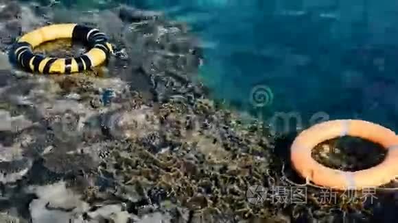 珊瑚礁附近红海的生命线视频