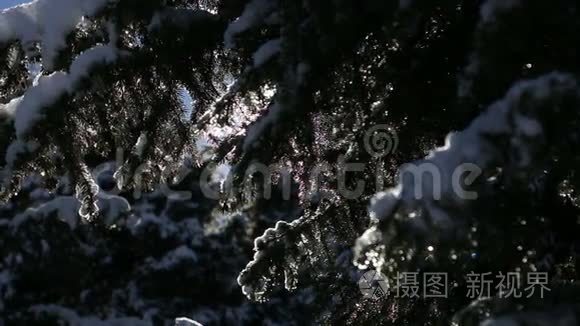 冬闲后融雪正聚春日仙境视频