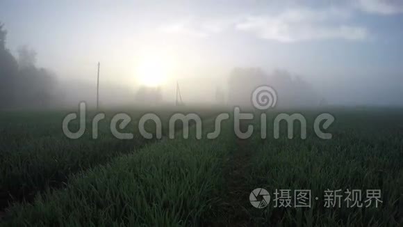 美丽的晨雾在农田和日出，时间流逝4K