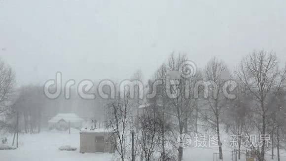 大雪纷飞视频