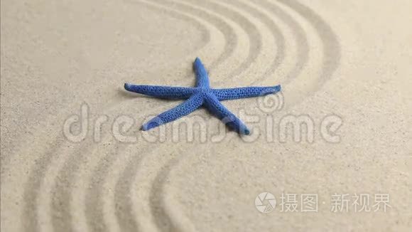蓝色海星躺在起伏的沙滩上视频