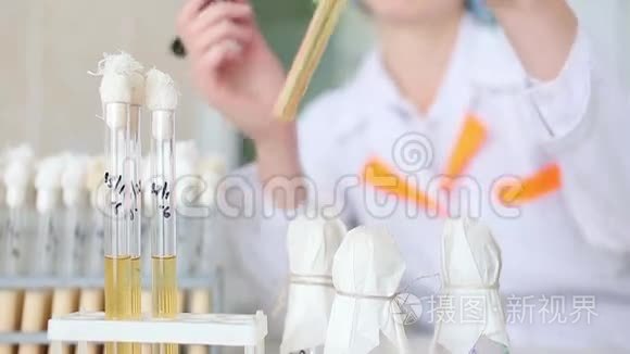 微生物实验室，研究试管中的材料