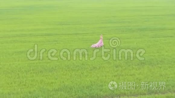 美丽的浪漫女孩站在田野里视频