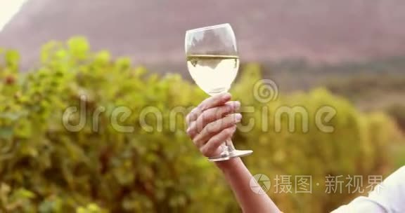 女酿酒师用白色酒杯旋转视频