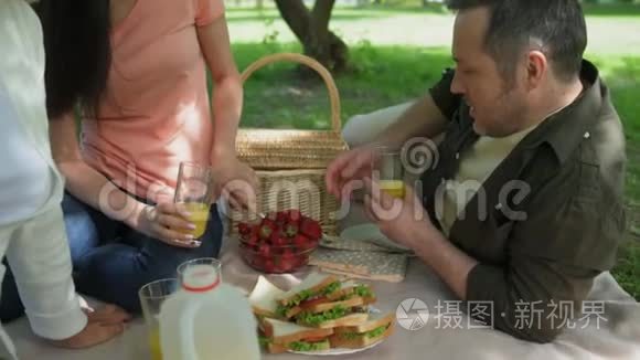 欢乐的一家人在公园野餐视频