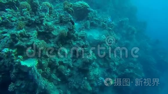 海洋特写镜头中的沙坑