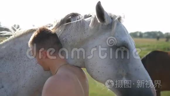 年轻的帅哥拥抱和抚摸白马在户外。 在田里拥抱一匹马的人，他爱抚