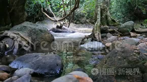 自然景观和新鲜瀑布流