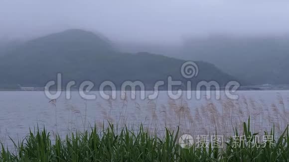 雾中富士山周围的日本高地视频