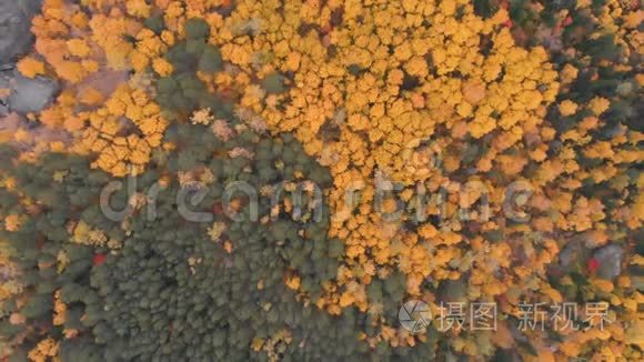 斯托尔比西伯利亚自然保护区秋季森林鸟瞰图。