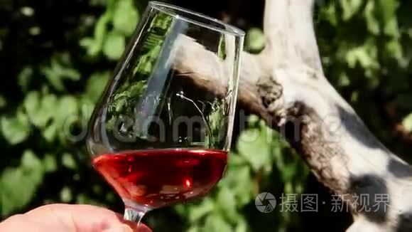 酿酒师对红酒的视觉分析视频