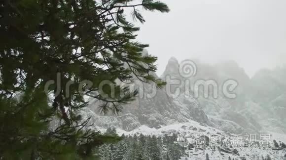 山上第一场雪视频