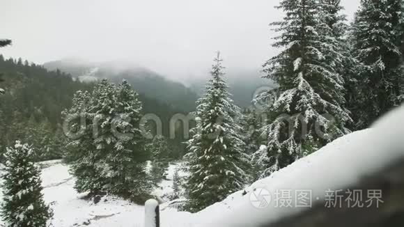 山上第一场雪视频