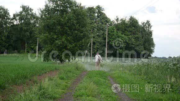 杂草丛生的路草视频