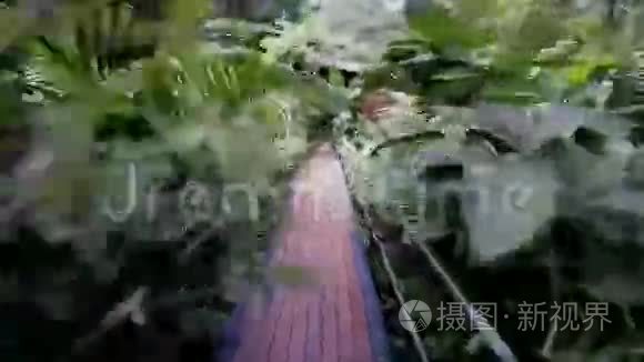 人上桥去丛林中的小屋视频