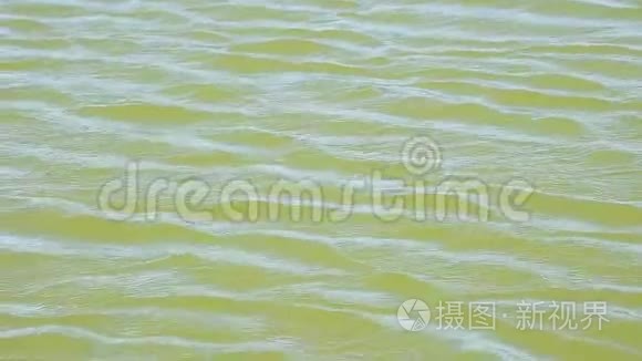 波浪和波纹在绿色水面上流动视频