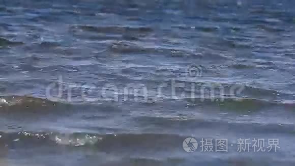 被污染的水波流到海岸视频