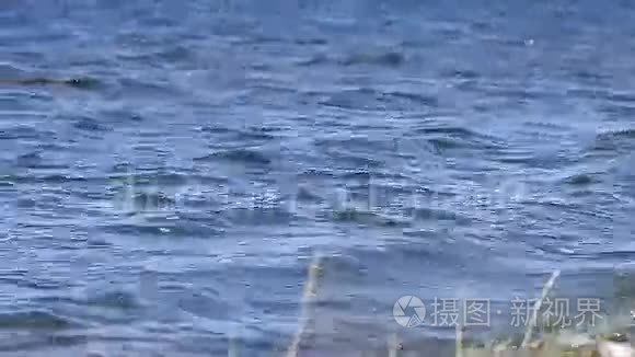 被污染的水波流到海岸视频