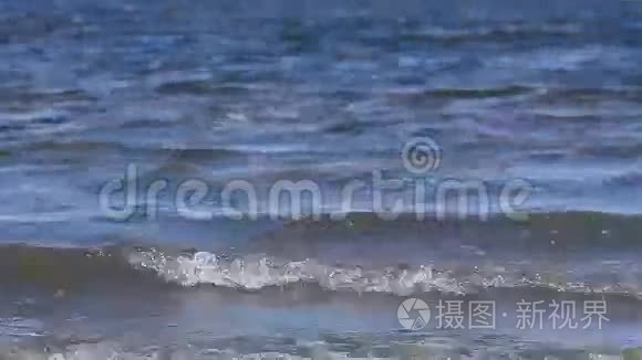 被污染的水波流到海岸视频