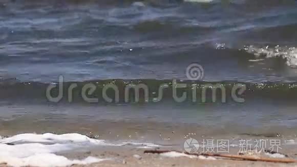 被污染的水波流到海岸视频