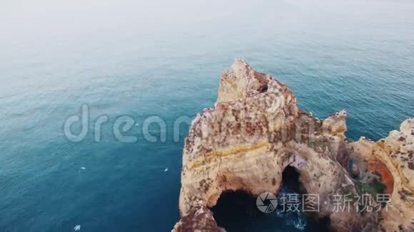 海洋鸟瞰岩石上的海鸥视频