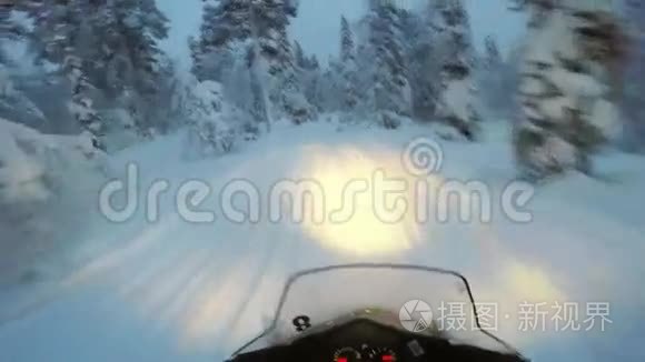 雪在雪林中飞驰视频
