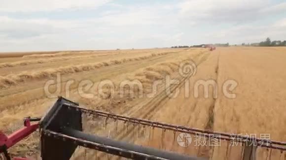 联合收割机收割小麦视频