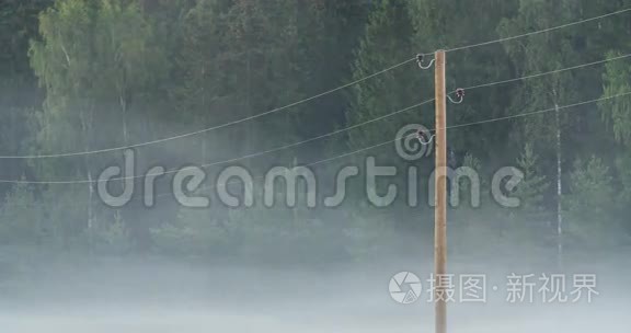 晨雾在电线间流动