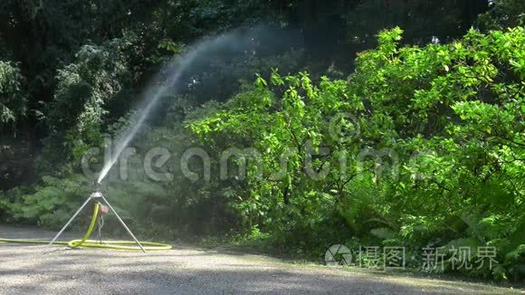 洒水车给公园里的植物浇水..