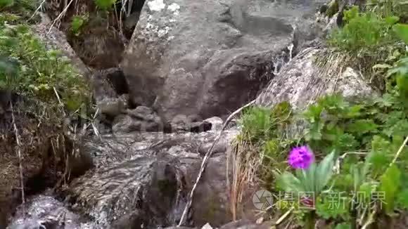 小山河瀑布超慢动作视频视频