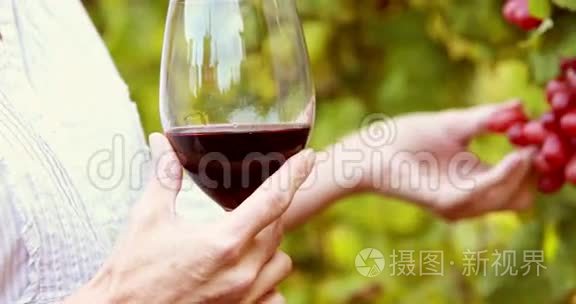 女酿酒师摸红葡萄视频