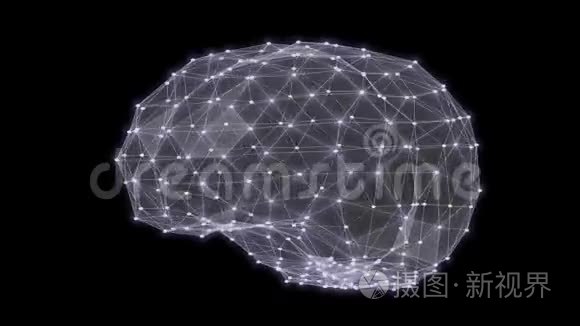 人脑三角形网格旋转三维渲染视频