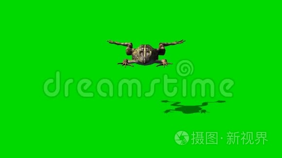 青蛙跳3-绿色屏幕