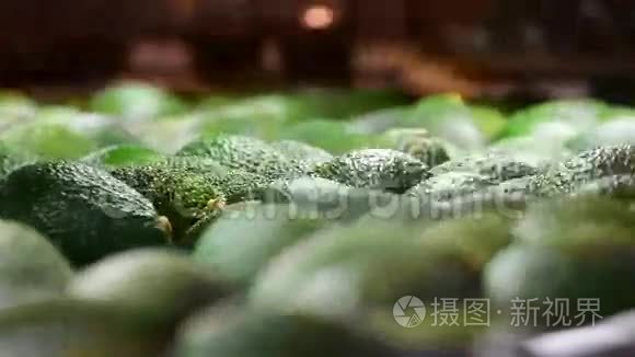 鳄梨碎片水果在包装线上滚动视频