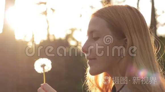 在蒲公英吹拂的金发女孩的侧视视频