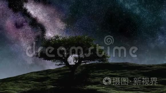 时光流逝，紫色的夜空星星伴着树从山上飞过